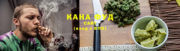индика Алзамай