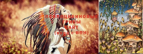 индика Алзамай