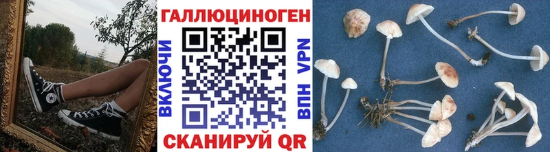 Псилоцибиновые грибы мухоморы  Сураж 